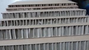 展示