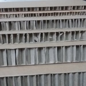 展示